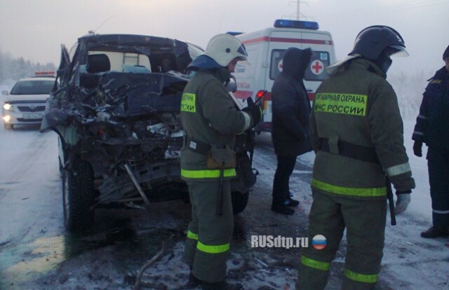 Прощелкала 