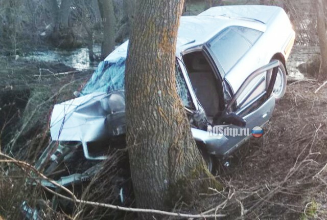 В Знаменском водитель иномарки погиб, врезавшись в дерево 