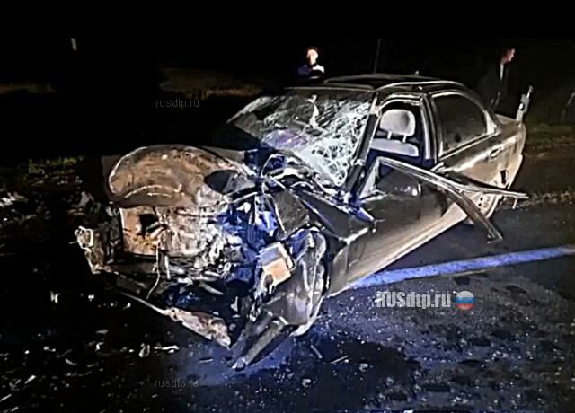 В Башкирии в ДТП погибла пассажирка легковушки 
