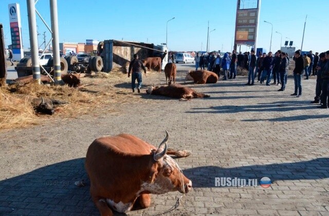 Водитель Опеля протаранила КамАЗ 