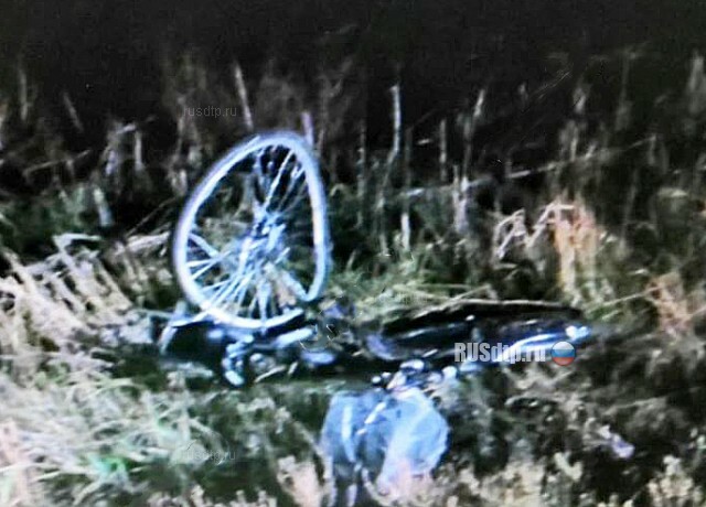 В Белгородской области пьяный лихач насмерть сбил женщину с двумя детьми 