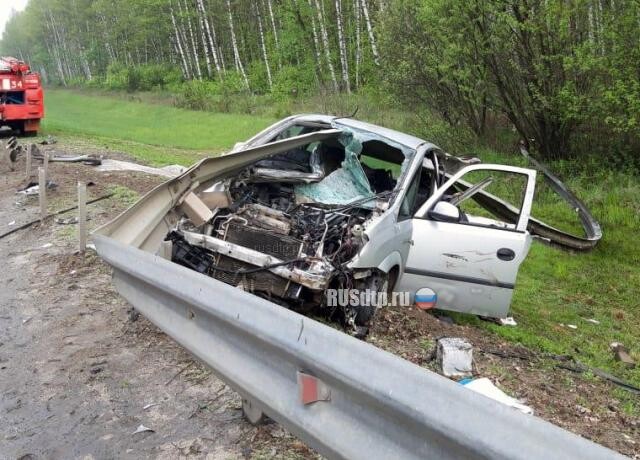 Отбойник проткнул иномарку и убил водителя на трассе М-5 