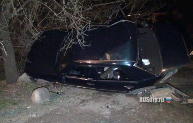 Завис на дереве 