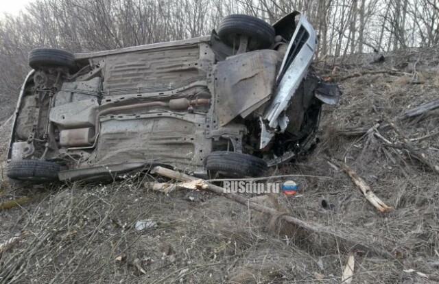 Водитель и пассажир погибли в перевернувшемся автомобиле в Тульской области 