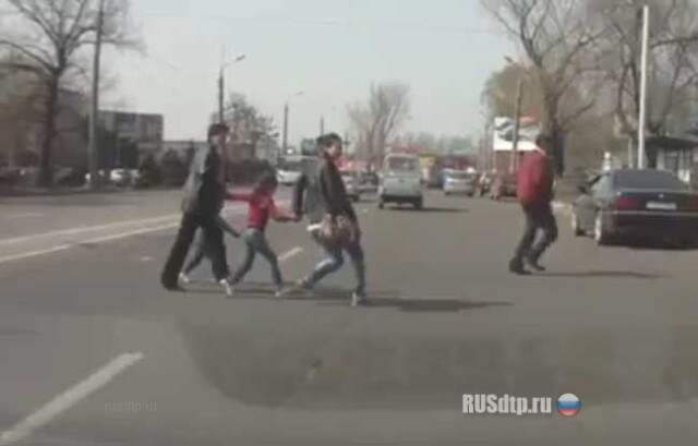 Пешебеги с детенышами 