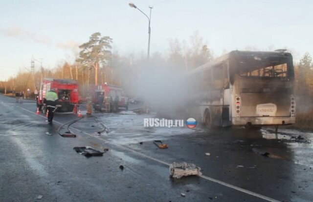 Автобус сгорел в результате ДТП в Ленинградской области. Двое погибли 