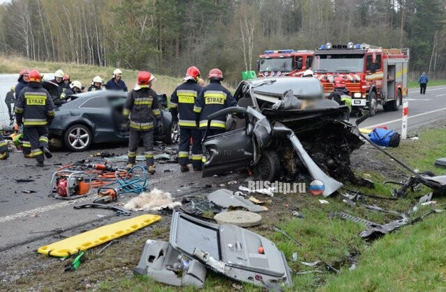 Владелец пса-байкера погиб в результате ДТП в Польше 