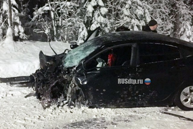 Под Петербургом пьяный водитель совершил ДТП и пытался сбежать 