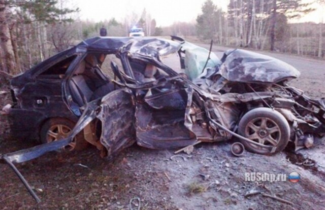 Приора врезалась в дерево — двое погибших 
