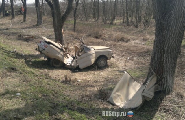 ЗАЗ врезался в дерево — погиб пассажир 