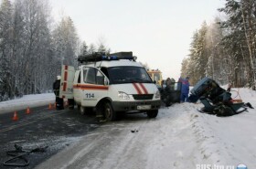 Аэрография ежик в тумане на авто