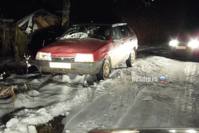 В Тверской области пьяный 17-летний подросток сбил молодую пару 