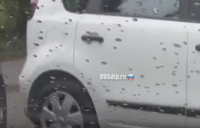 Автор все заснял