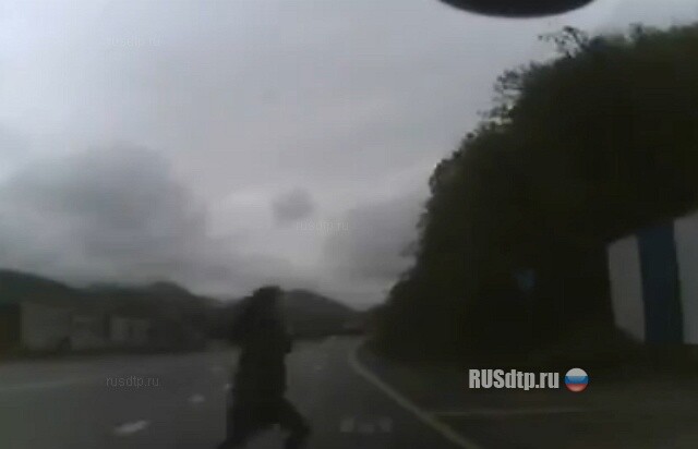 Сбила пешехода 