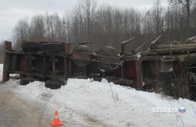 Раздавило брёвнами 