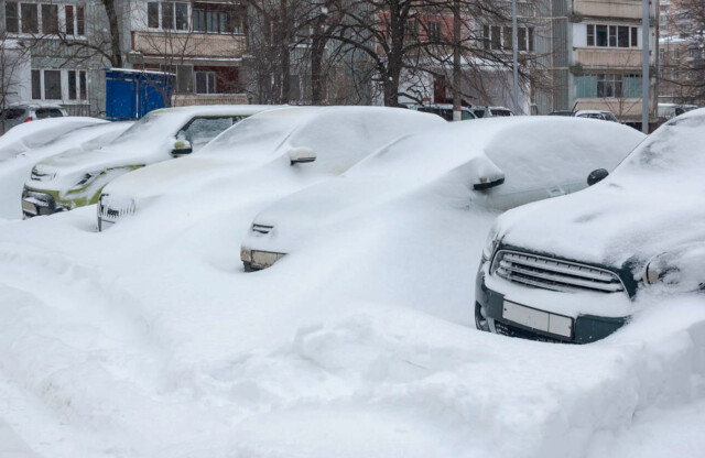 Как не оказаться в западне после снегопада? Одно простое правило позволит легко выбраться из сугробов 