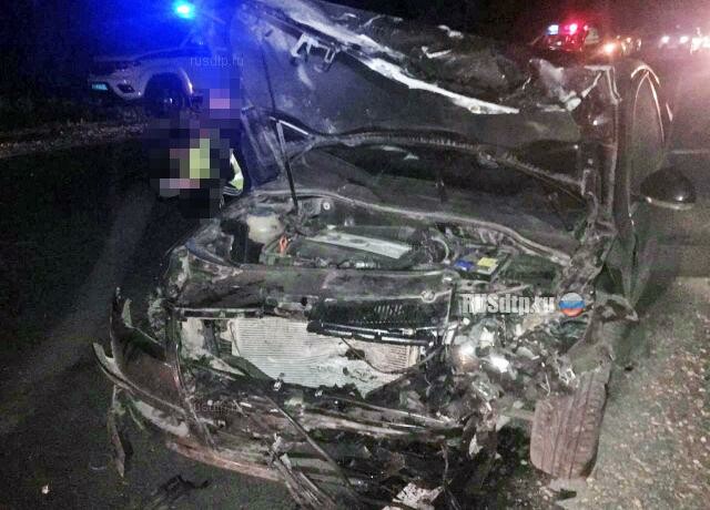 Водитель «девятки» и его пассажир погибли на автодороге «Владимир — Муром» 