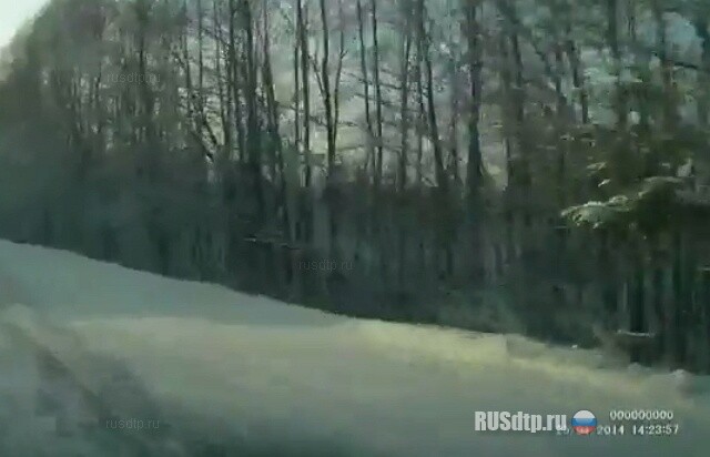 Нарубил дров © 