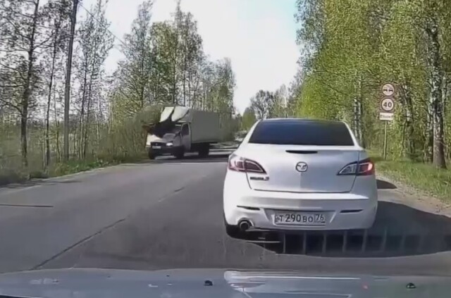 Лось врезался в «Газель» под Рыбинском 