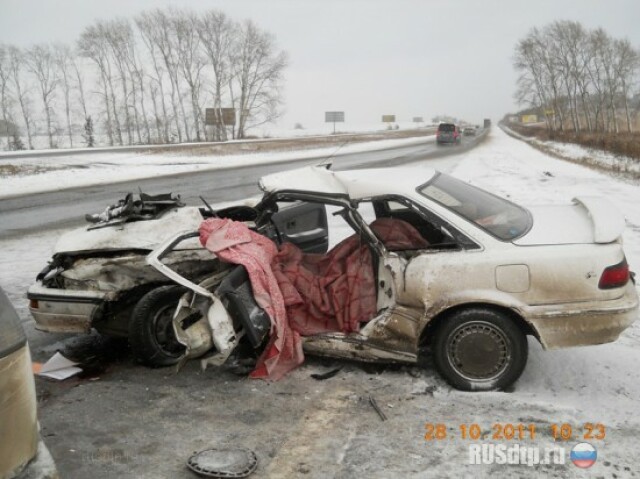 Первые жертвы зимы 