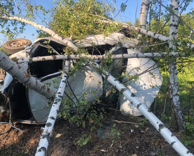 В Кировской области «Лада Гранта» съехала в кювет и врезалась в дерево: двое погибли 