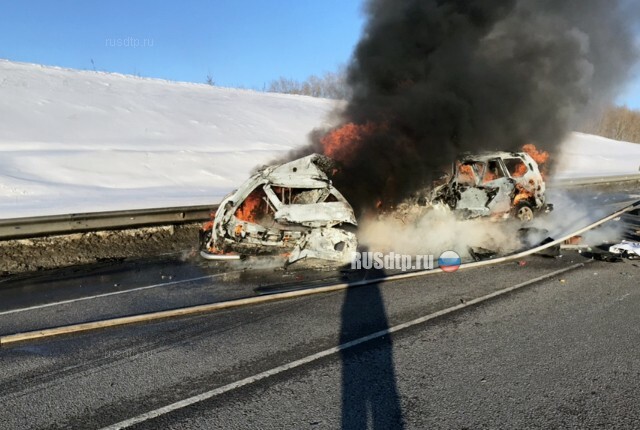 7 человек погибли в огненном ДТП на трассе «Курск — Борисоглебск» 