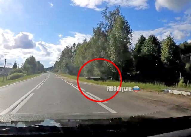 Под Рыбинском женщина совершила ДТП, испугавшись черной кошки