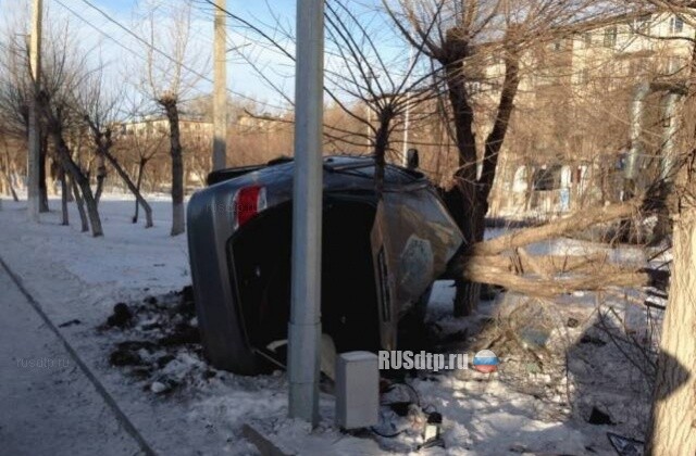 Врезался в дерево 