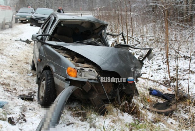 В Пермском крае по вине водителя автовоза в ДТП погибли мужчина и женщина 