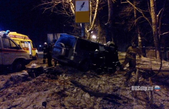 В Нижнем Новгороде Паджеро врезался в дерево 
