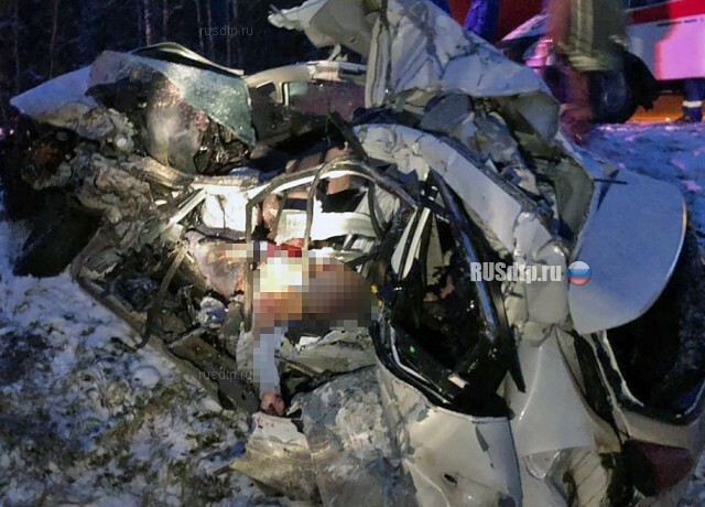 Пять человек погибли в ДТП на трассе М-9 в Подмосковье 