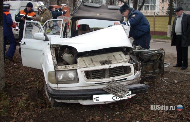 В Нижнем Новгороде «Волга» врезалась в дерево 