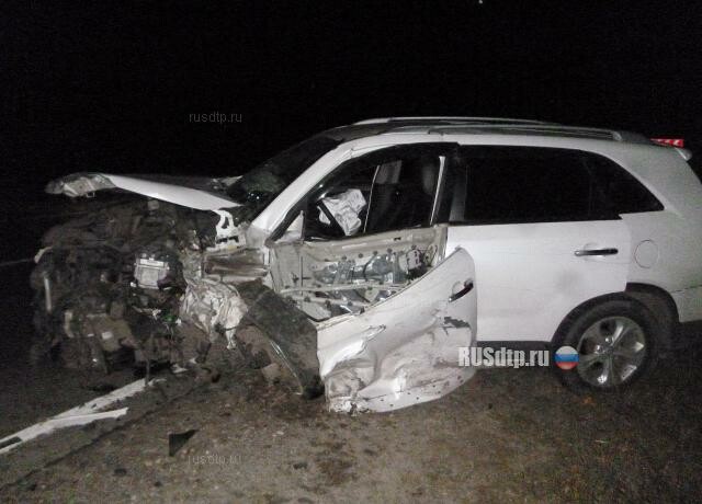 В Нижегородской области пьяный водитель убил двух человек на встречке 