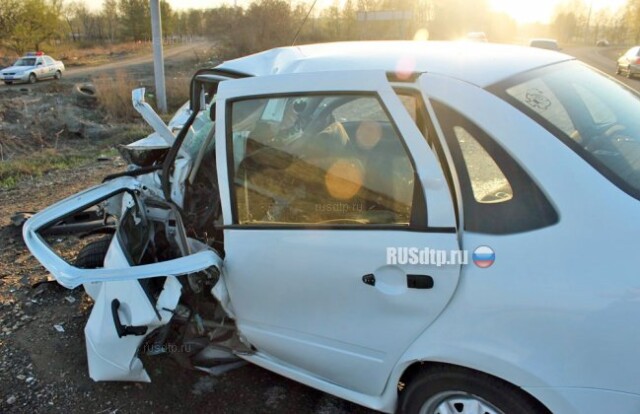 В Челябинске автоледи не справилась с обгоном и погибла 