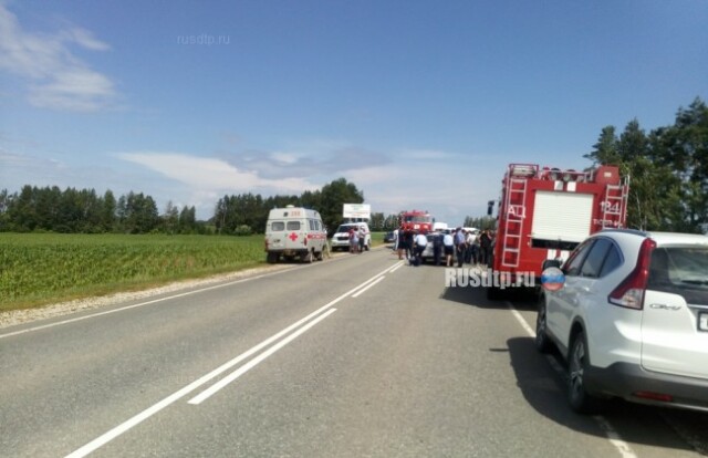 Семь человек погибли в ДТП с участием микроавтобуса в Татарстане 