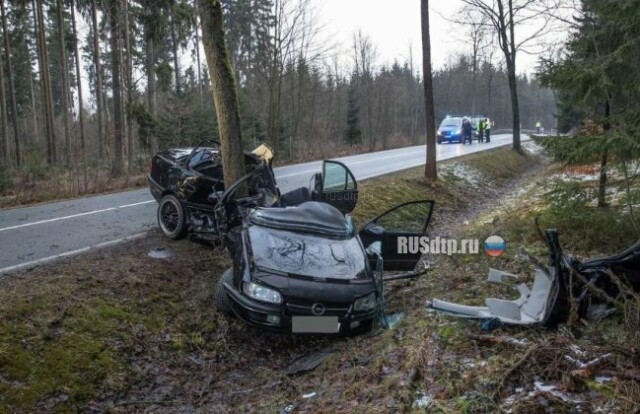 Авто врезалось в дерево. Погиб человек 