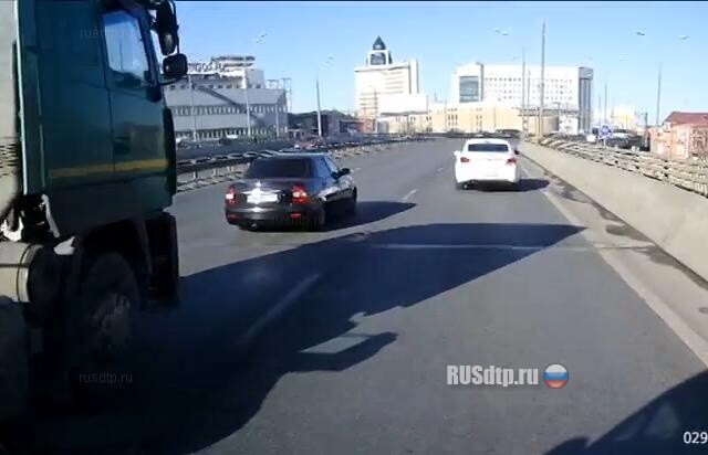 Дрессировка 