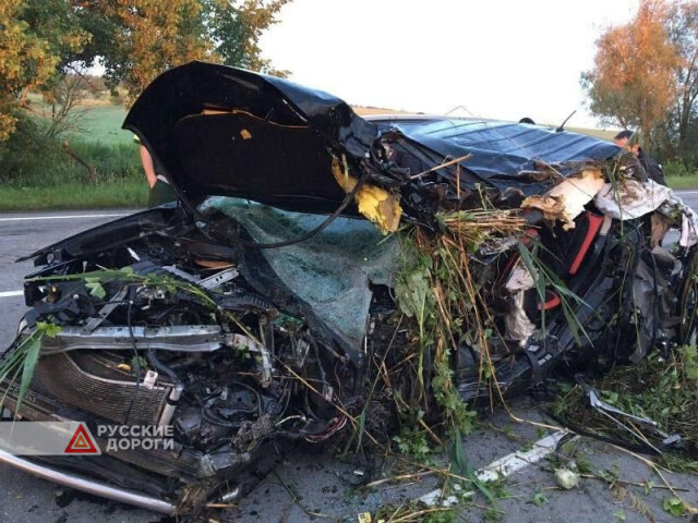 Водитель Mitsubishi и его 23-летний пассажир скончались в Воронежской области 