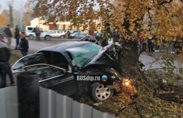 В Вельске BMW врезался в дерево. Двое погибли 