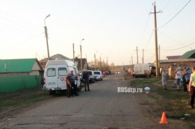 Аэрография ежик в тумане на авто
