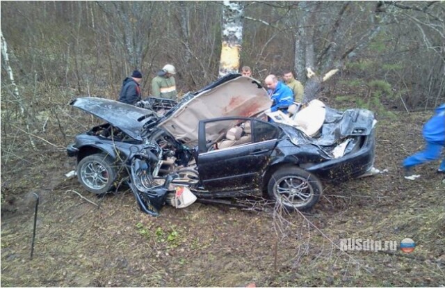 BMW врезался в дерево в Бежецком районе. Погибли 3 человека 