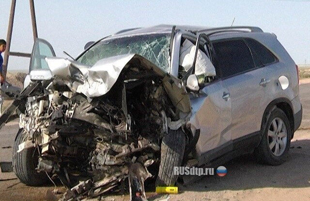 3 года за 8 жизней 