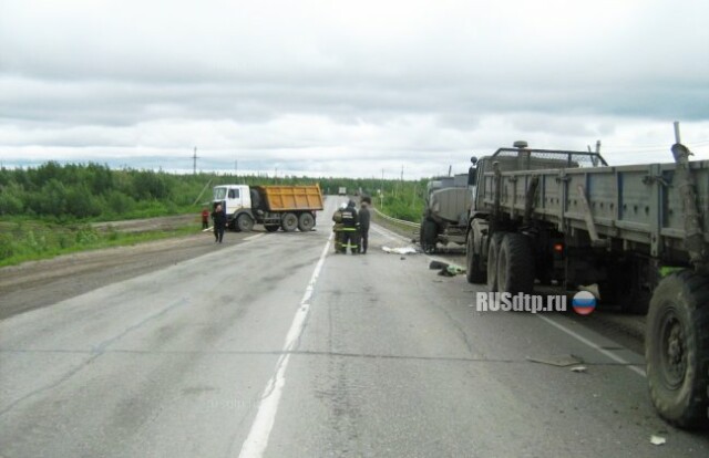 В Коми пьяный водитель МАЗа протаранил два КАМАЗа и сбил пешехода 