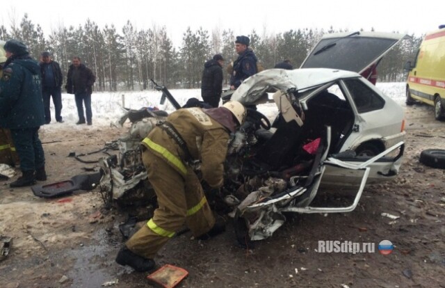 Под Елабугой погибли два человека 