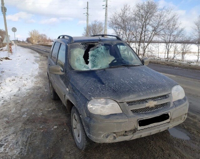 В Воронежской области отлетевший от фуры кусок льда пробил лобовое стекло автомобиля 