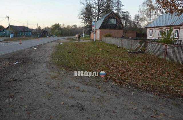 Под Тамбовом пьяный полицейский сбил ребенка 