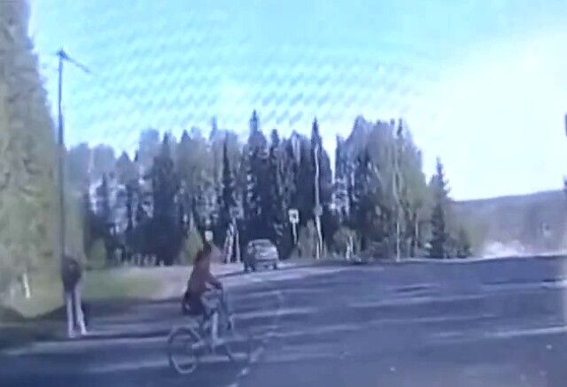Школьница на велосипеде попала под колеса автомобиля в Удмуртии 