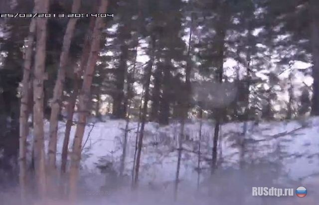 Паническая боязнь грузовиков 