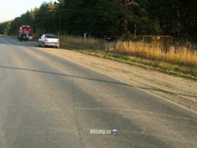 В Свердловской области в результате ДТП погибли три человека 