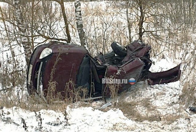 В Тульской области 19-летняя девушка без прав разбилась в ДТП 